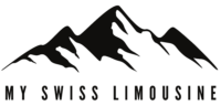 Premium Chauffeur Services
